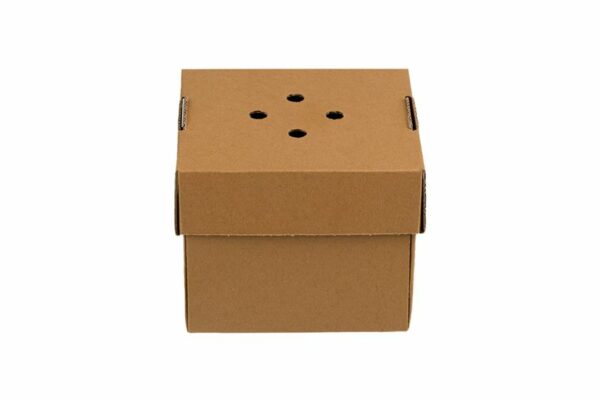Χάρτινο Kraft Κουτί Φαγητού Τετράγωνο 12x12x10 cm | TESSERA Bio Products®