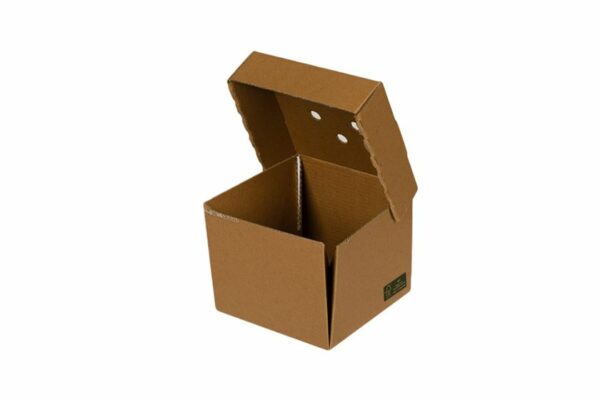 Square Kraft Burger Food Box Plastic Free 12x12x10 cm. | TESSERA Bio Products®