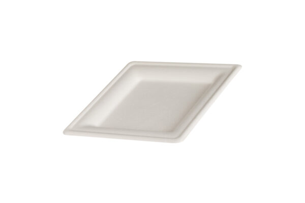 Square Sugarcane Plate White 20 cm. (10 pieces). | TESSERA Bio Products®