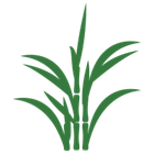 Sugarcane | TESSERA Bio Products®