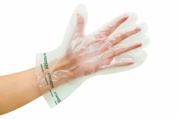 Compostable Gloves Transparent Powder free - Medium | TESSERA Bio Products®