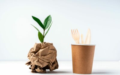 Biodegradable packaging products: 4 important reasons to choose them.