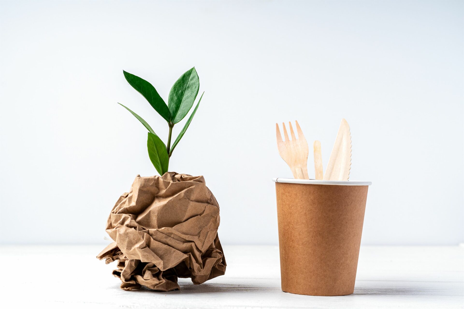 Biodegradable packaging products: 4 important reasons to choose them. | TESSERA Bio Products®