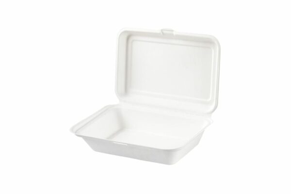 Sugarcane Food Container with Hinged Lid 1-compartment | TESSERA Bio Products®